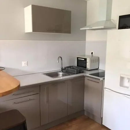 Appartement Renove Rdc Terrasse 200m *